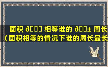 面积 🐘 相等谁的 🐱 周长大（面积相等的情况下谁的周长最长）